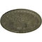 Ekena Millwork Tristan Ceiling Medallion (Fits Canopies up to 5 1/2"), Hand-Painted Painted Turtle, 26"OD x 3"P CM26TNPTF - alternate 3